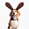 Amosfun Kids Puppy Ear Headband Halloween Cartoon Animal Hair Loop Cosplay Party Hair Clasp Performance Prop view 3