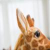 40" Big Plush Giraffe Giant Large Soft Doll Kid Gift Stuffed Animal 100cm view 3
