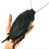 SUMAG Jumbo Rubber Roach Magic Tricks Prank Roach Prop Appearing Magic Stage Close up Street Bar Party Gimmick Classic Toy Funny view 4
