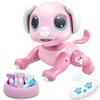 BIRANCO. Remote Control Dog Gesture Sensing - Smart Puppy Pink Toy Robot Pet Walks Barks Interactive with Toddler, STEM Play, Best Christmas Holiday Birthday Gifts for 3 4 5 6 7 8 Years Old Girl view 1