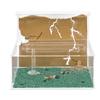 Sand Ant Farm L (Formicarium (Anthill, Formicarium, Educational, Ants) view 1