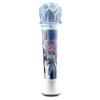 Disney Frozen Sing Along Microphone for Kids, Built in Music, Flashing Lights, Pretend Mic, Toys for Kids view 1