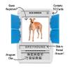 100 PICS Dogs Travel Game | Learn 100 Dog Breeds Flash Cards with Slide Reveal Case | Card Game, Gift, Stocking Stuffer | for Kids and Adults | Ages 6+ view 2