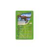 Winning Moves Top Trumps Quiz-Dinosauri-Ed. Italian (IT), 034128 view 3