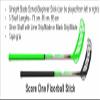 Score One Floorball Stick Set, 5v5 for Teen and Adult Players. Play Floorball Games with 10 Straight Blade Floorball Sticks in 95 cm Length, 10 Balls, 2 Folding Goals and a Big stickbag. view 2