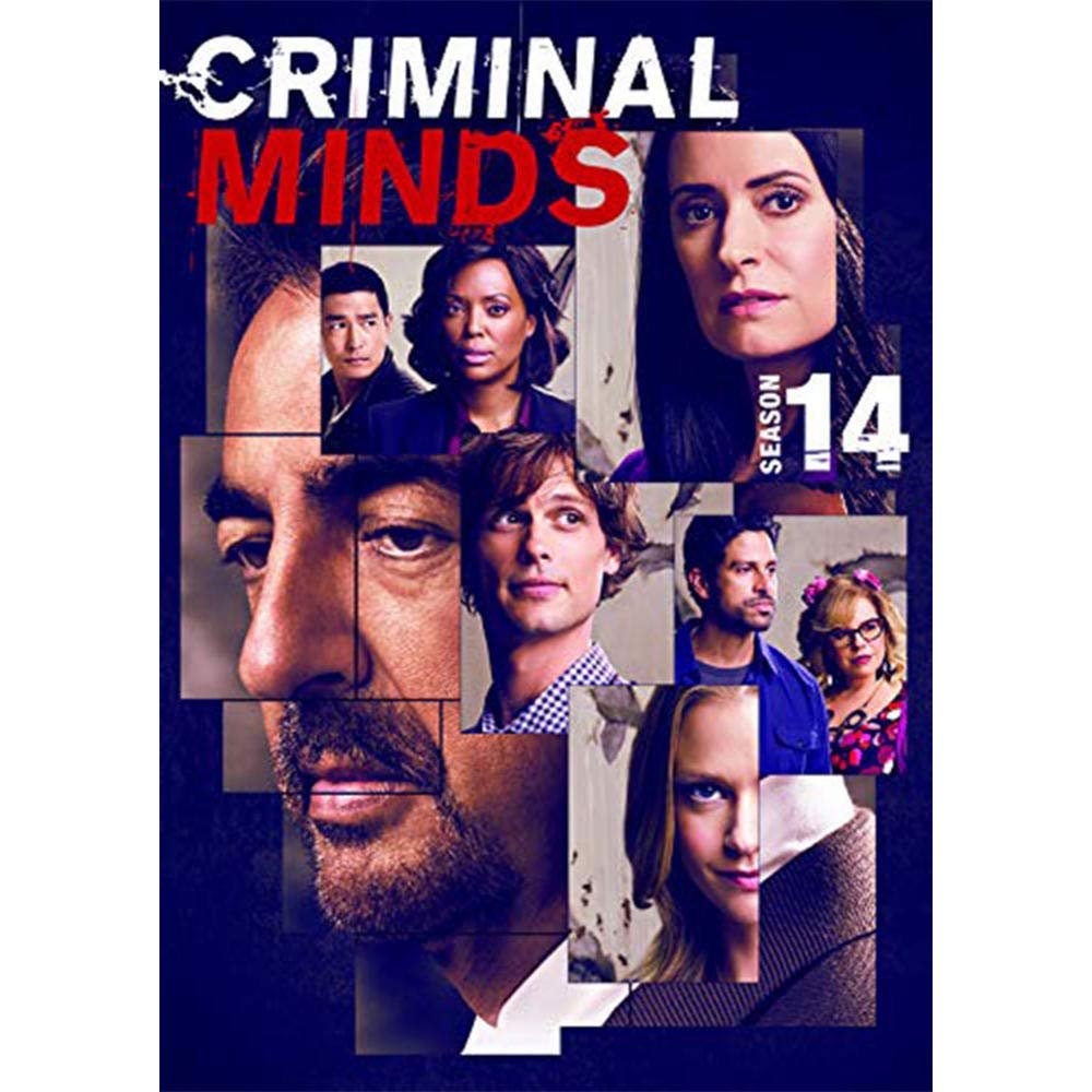 Paramount Criminal Minds: Season 14 (DVD) Multi