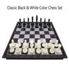 Fuhengli 9.8" Magnetic Travel Chess Set for Adults and Kids, with Outdoor Portable Folding Chess Board, Black & White Color view 2