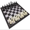 12.5" Magnetic Chess Set with Folding Chess Board Outdoor Travel Portable Chess Set for Adults and Kids, Black & White Color view 1