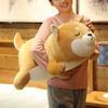 ERDAO Shiba Inu Plush Pillow,Soft Corgi Stuffed Animals Toy Cute Sleeping Puppy Doll Gifts for Kids (Smiling Eyes, 29.5 inch) view 2