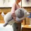 ERDAO Husky Plush Pillow,Huskie Stuffed Animal Toy Puppy Throw Pillow for Kids and Adults (29.5 inch) view 2