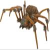 Morris Costumes Deluxe Lightup Wolf Spider view 1