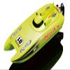 Amewi Racing Catamaran Adventure RC Motor Boat RTR 450 mm, Green view 1