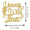 Topfun Double Sided Gold Glitter Young Wild & Three Cake Topper for Wild Three Boho Tribal Themed 3rd Birthday Party Supplies view 2