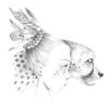 Avenue Mandarine Coloriage Wild 4 Colouring Book by Emmanuelle Colin view 4