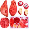 Gejoy 12 Pieces Halloween Body Parts Fake Organs Fake Heart Brain Fingers Ears Eyes Plastic Severed Body Parts Haunted Decorations for Halloween Zombie Party view 1