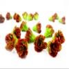 1:6 Fashion Doll 10 Red Lettuce Salad Fresh Vegetable Clay Miniature Garden view 4
