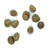 30 Live Mexican Jumping Beans: 6 Cases With 5 Beans In Each Case view 1