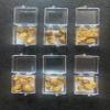 30 Live Mexican Jumping Beans: 6 Cases With 5 Beans In Each Case view 2