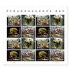 Tyrannosaurus Rex (T Rex) Forever First Class US Postage Stamps Prehistoric Dinosaur (16 Stamps) view 2