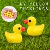 YsesoAi 100Pcs Mini Resin Ducks, Tiny Ducks Figurines Bulk for Miniature Dollhouse Decor Accessories Garden Aquarium Potted DIY Ornament Party Toys view 4