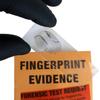 Crime Scene Forensic Science Kit: Solve The Missy Hammond Murder view 4