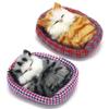 Coolayoung 2Pcs Sleeping Cat in Pet Pad Doll Toy, Mini Kitten in Pet Pad with Meows Sounds Decor for Office Desk Hand Toy Gift for Kids Boys Girls view 1