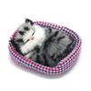 Coolayoung 2Pcs Sleeping Cat in Pet Pad Doll Toy, Mini Kitten in Pet Pad with Meows Sounds Decor for Office Desk Hand Toy Gift for Kids Boys Girls view 2