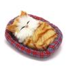 Coolayoung 2Pcs Sleeping Cat in Pet Pad Doll Toy, Mini Kitten in Pet Pad with Meows Sounds Decor for Office Desk Hand Toy Gift for Kids Boys Girls view 3