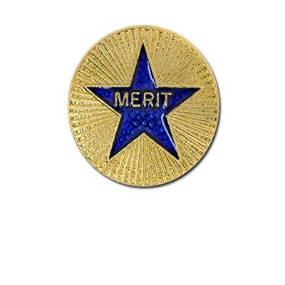 1000 Flags Merit Blue Star on Round Gold Metal Pin Badge