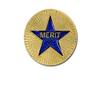 1000 Flags Merit Blue Star on Round Gold Metal Pin Badge view 1