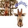 Realistic Giraffe Mask Halloween Deer Animal Fancy Dress Props Masquerade Party Costume Mask view 4