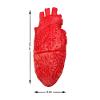 Atosa 62735 Blood Heart for Halloween Decoration, 17 x 9 cm view 3