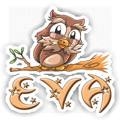 Eva Owl Sticker (Large, 14x9.8 inch)