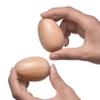 4 PCS Wood Egg Shakers Set, Musical Percussion Instruments, Natural Finish view 2