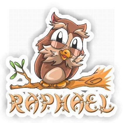 Raphael Owl Sticker (Large, 14x9.8 inch)