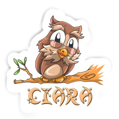 Ciara Owl Sticker (Large, 14x9.8 inch)