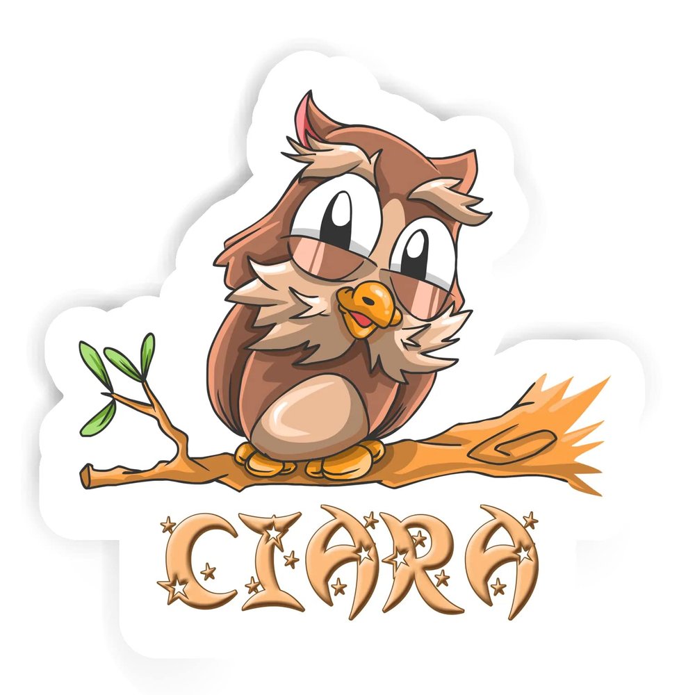 Ciara Owl Sticker (Large, 14x9.8 inch)