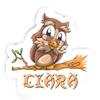 Ciara Owl Sticker (Large, 14x9.8 inch) view 1