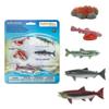 Safari Ltd. Life Cycle of a Salmon Set - 5 Hand-Painted, Lifelike Model Figures - Fun Educational Toy for Boys, Girls & Kids Ages 4+ view 1