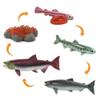 Safari Ltd. Life Cycle of a Salmon Set - 5 Hand-Painted, Lifelike Model Figures - Fun Educational Toy for Boys, Girls & Kids Ages 4+ view 4