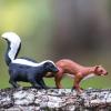 Safari Ltd. Striped Skunk Figurine - Realistic 2.5" Plastic Model Figure - Educational Toy for Boys, Girls & Kids Ages 3+ view 4