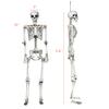 Giantex 5.4 Ft Halloween Skeleton, Life Size Realistic Human Bones, PP Material, Seven Adjustable Joints, Can be Suspended from Ceiling, Halloween Skeleton Decor Suitable for Prank Themes view 3