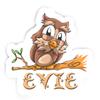 Evie Owl Sticker (Large, 14x9.8 inch) view 1