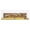 Sand Ant Farm Big - Anthill, Formicarium, Educational, Ants - view 1