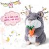Ayeboovi 2 3 4 5 Year Old Girl Gifts Toy Talking Hamster Repeats What You Say, Interactive Fun Autism Toys for Ages 2-4 5-7 Boys Girls Kids Toddler view 2
