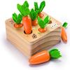 Ancaixin Montessori Toys for Babies 6-12 Months, Wooden Toys for 1 Year Old Boys and Girls, Educational Carrot Harvest Toy for Toddlers, Shape Sorting Matching Puzzle, Developmental Birthday Gifts view 1