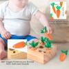 Ancaixin Montessori Toys for Babies 6-12 Months, Wooden Toys for 1 Year Old Boys and Girls, Educational Carrot Harvest Toy for Toddlers, Shape Sorting Matching Puzzle, Developmental Birthday Gifts view 2
