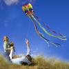 14ft R2F Rainbow Soft Octopus Kite for Kids and Audlts-Large Kite with 11.5ft Long Tail and 200ft Flying line-Easy to Fly Toy for Outdoor Games Beach and Activities view 4