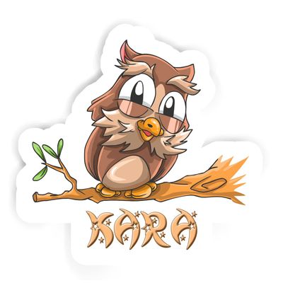 Kara Owl Sticker (Large, 14x9.8 inch)
