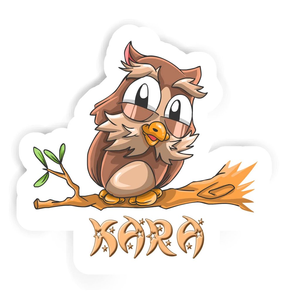 Kara Owl Sticker (Large, 14x9.8 inch)